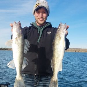 Meet your Posher, Andy